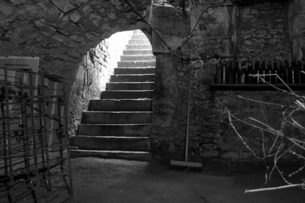 wine cellar