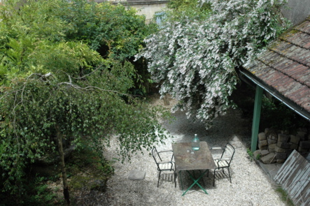 birds eye view of garden