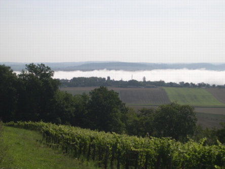 Tannay morvan panorama
