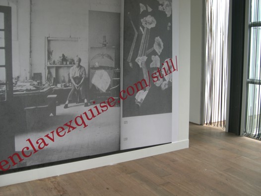Max Ernst studio still