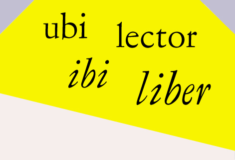 ubiibicloseup