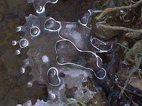 ice formation on the Beuvron