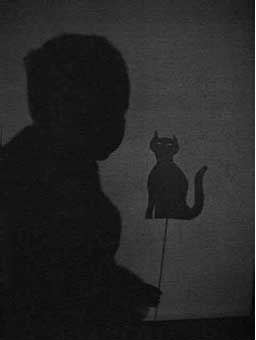 r and cat shadowz