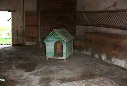 doghouse in stable 2002