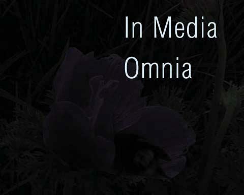 in media omnia head