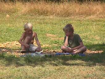 Rolf and Roemer play a board game in the shade