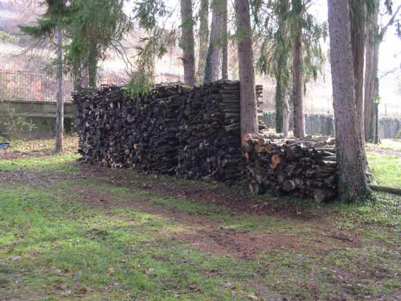 wood pile 2003 cut