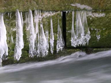 ijspegels ice flowers