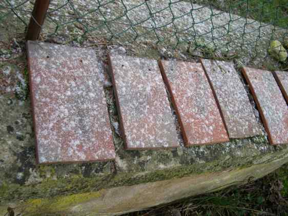 snow speckled roof tiles 31 december 58210F