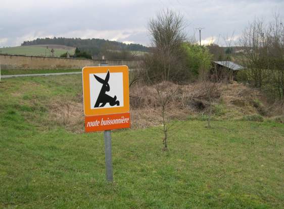route buissoniere with hare logo near Pousseaux
